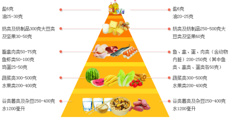 营养在人的一生中起着至关重要的作用